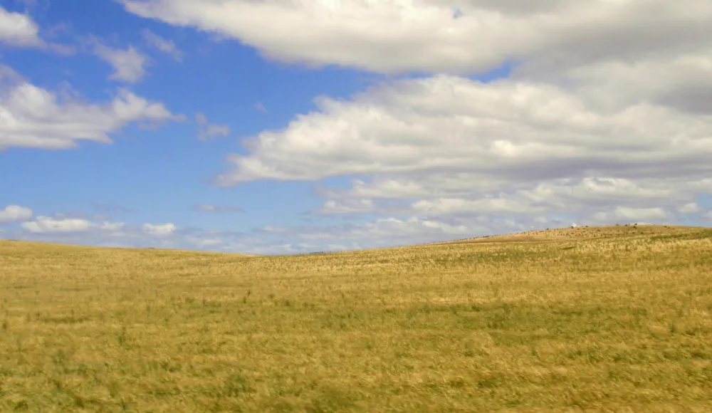 複数の人の手を重ね、チームワークや協力を表現している様子