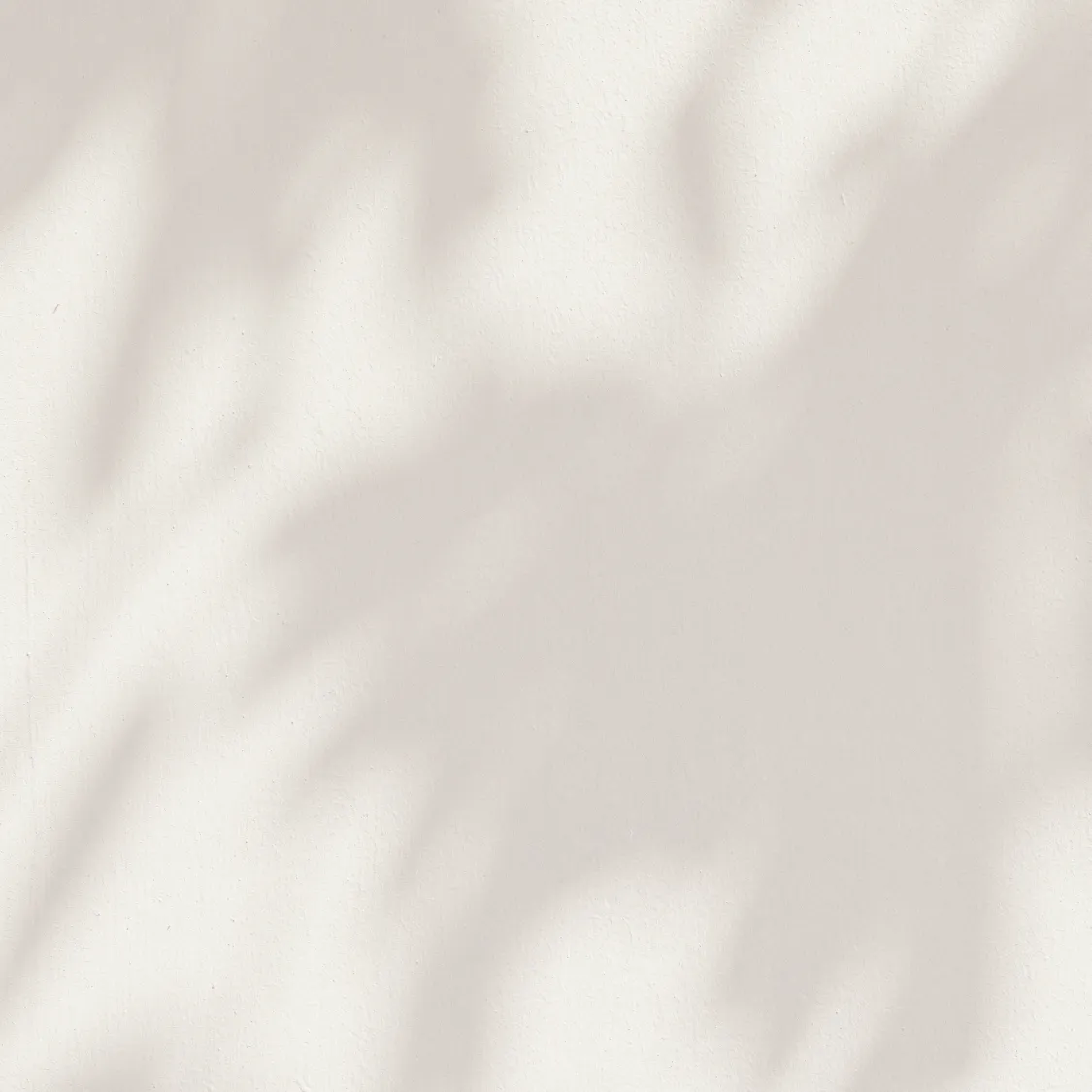 キービジュアル