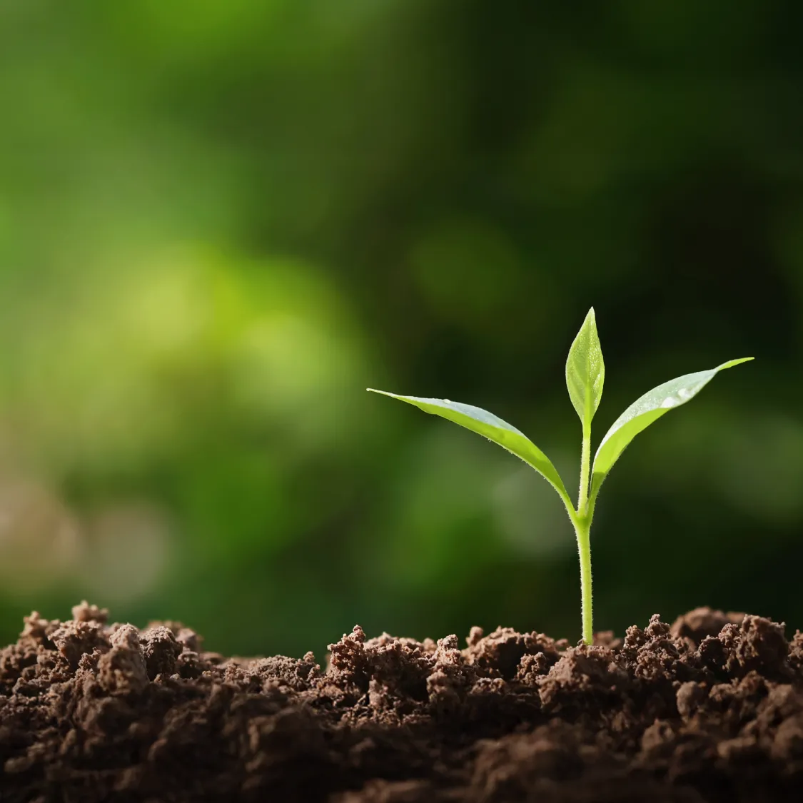 キービジュアル