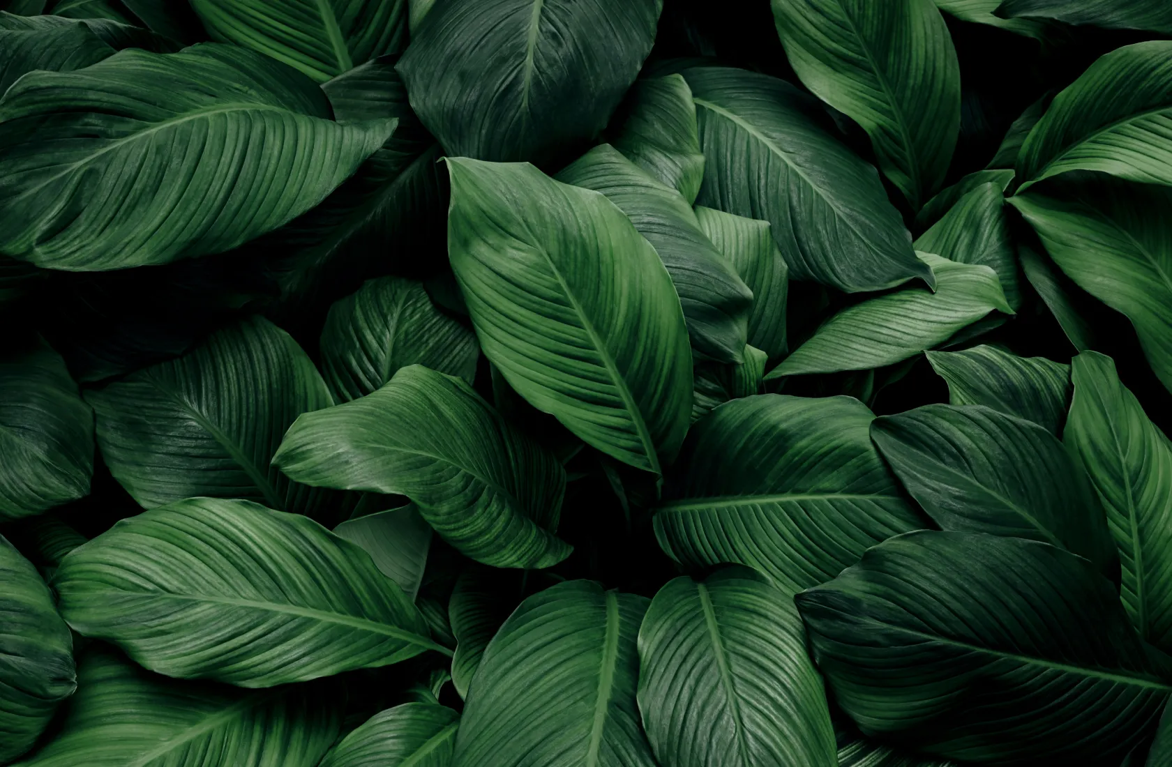 キービジュアル