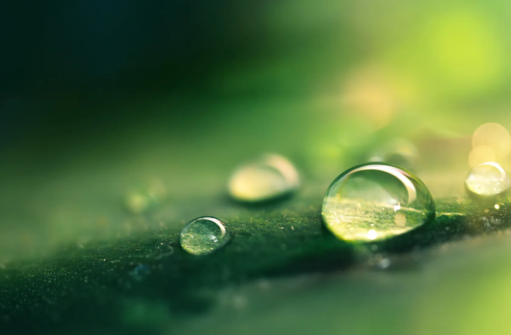 キービジュアル